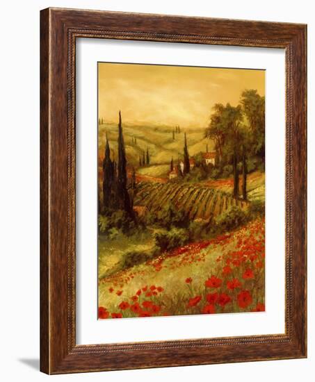 Toscano Valley II-Art Fronckowiak-Framed Art Print