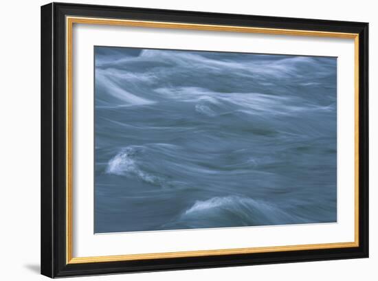 Tossed About-Anthony Paladino-Framed Giclee Print