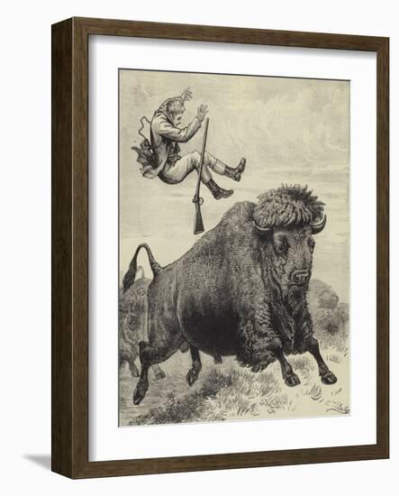 Tossed by a Prairie Bull-null-Framed Giclee Print