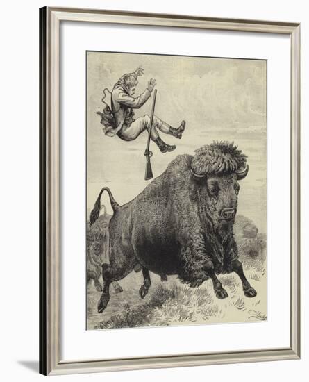 Tossed by a Prairie Bull-null-Framed Giclee Print