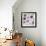 Tossed Painterly Donuts-Elizabeth Caldwell-Framed Giclee Print displayed on a wall
