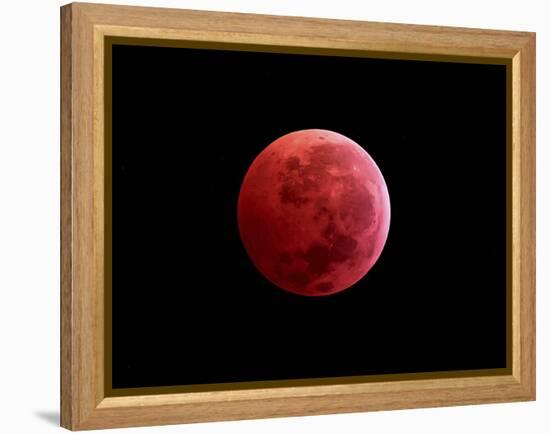 Total Lunar Eclipse Taken on December 10, 2011-null-Framed Premier Image Canvas