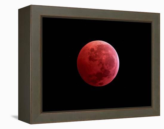 Total Lunar Eclipse Taken on December 10, 2011-null-Framed Premier Image Canvas