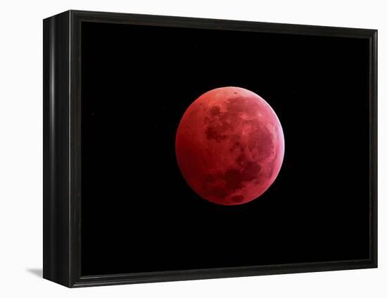 Total Lunar Eclipse Taken on December 10, 2011-null-Framed Premier Image Canvas