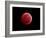 Total Lunar Eclipse Taken on December 10, 2011-null-Framed Photographic Print