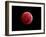 Total Lunar Eclipse Taken on December 10, 2011-null-Framed Photographic Print