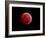 Total Lunar Eclipse Taken on December 10, 2011-null-Framed Photographic Print