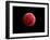 Total Lunar Eclipse Taken on December 10, 2011-null-Framed Photographic Print