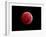 Total Lunar Eclipse Taken on December 10, 2011-null-Framed Photographic Print