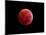 Total Lunar Eclipse Taken on December 10, 2011-null-Mounted Photographic Print