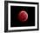 Total Lunar Eclipse Taken on December 10, 2011-null-Framed Photographic Print