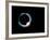 Total Solar Eclipse, 11 July 1991-Dr. Fred Espenak-Framed Photographic Print