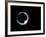 Total Solar Eclipse, 11 July 1991-Dr. Fred Espenak-Framed Photographic Print