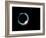 Total Solar Eclipse, 11 July 1991-Dr. Fred Espenak-Framed Photographic Print