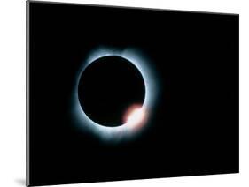 Total Solar Eclipse, 11 July 1991-Dr. Fred Espenak-Mounted Photographic Print