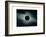 Total Solar Eclipse, 1878-Science, Industry and Business Library-Framed Photographic Print