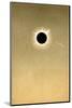 Total Solar Eclipse of 1882 And Comet-Detlev Van Ravenswaay-Mounted Photographic Print