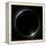 Total Solar Eclipse-Laurent Laveder-Framed Premier Image Canvas