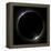 Total Solar Eclipse-Laurent Laveder-Framed Premier Image Canvas