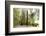 Totem Pole, Sitka National Historic Park aka Totem Park, Sitka, Alaska-Mark A Johnson-Framed Photographic Print