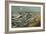 Totes Meer (Dead Sea)-Paul Nash-Framed Giclee Print