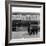 Tottenham Football Club, 1962-Monte Fresco O.B.E.-Framed Photographic Print