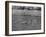 Tottenham Hotspur vs Sheffield United-null-Framed Photographic Print