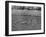 Tottenham Hotspur vs Sheffield United-null-Framed Photographic Print