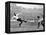 Tottenham Hotspur Vs. West Bromwich Albion, 1931-null-Framed Premier Image Canvas