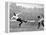 Tottenham Hotspur Vs. West Bromwich Albion, 1931-null-Framed Premier Image Canvas