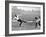 Tottenham Hotspur Vs. West Bromwich Albion, 1931-null-Framed Photographic Print