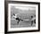 Tottenham Hotspur Vs. West Bromwich Albion, 1931-null-Framed Photographic Print