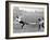 Tottenham Hotspur Vs. West Bromwich Albion, 1931-null-Framed Photographic Print