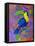 Toucan, 2021, (oil on canvas)-Jane Tattersfield-Framed Premier Image Canvas