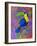 Toucan, 2021, (oil on canvas)-Jane Tattersfield-Framed Giclee Print