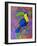 Toucan, 2021, (oil on canvas)-Jane Tattersfield-Framed Giclee Print