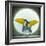 Toucan Can Can, 2010-Wayne Anderson-Framed Giclee Print