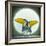 Toucan Can Can, 2010-Wayne Anderson-Framed Giclee Print