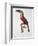 Toucan: Great Red-Bellied by Jacques Barraband-Jacques Barraband-Framed Giclee Print