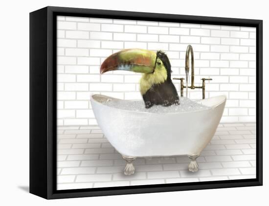 Toucan In Bathtub-Matthew Piotrowicz-Framed Stretched Canvas