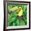 Toucan in the Green Bush Illustration-Daniel Cole-Framed Art Print