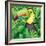 Toucan in the Green Bush Illustration-Daniel Cole-Framed Art Print