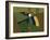 Toucan Luke-Belen Mena-Framed Giclee Print