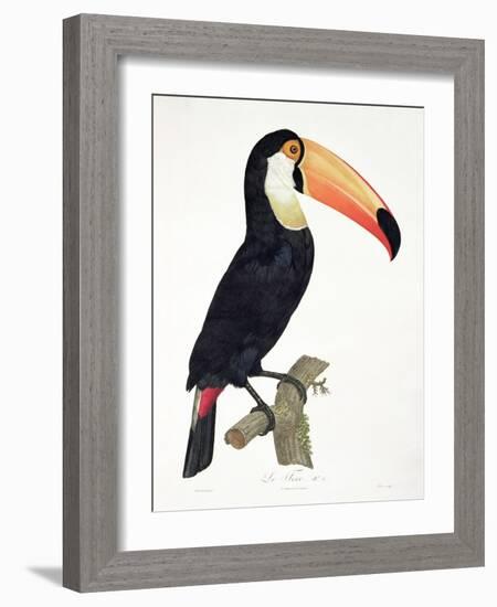 Toucan No.2, History of the Birds of Paradise by Francois Levaillant, Engraved by J.L. Peree-Jacques Barraband-Framed Giclee Print