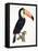 Toucan No.2, History of the Birds of Paradise by Francois Levaillant, Engraved by J.L. Peree-Jacques Barraband-Framed Premier Image Canvas