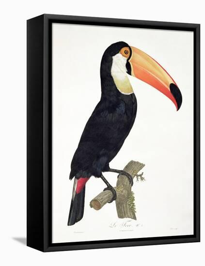 Toucan No.2, History of the Birds of Paradise by Francois Levaillant, Engraved by J.L. Peree-Jacques Barraband-Framed Premier Image Canvas