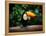 Toucan on the Branch in Tropical Forest of Brazil-SJ Travel Photo and Video-Framed Premier Image Canvas