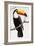 Toucan Perch-Staffan Widstrand-Framed Giclee Print
