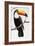 Toucan Perch-Staffan Widstrand-Framed Giclee Print