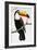 Toucan Perch-Staffan Widstrand-Framed Giclee Print